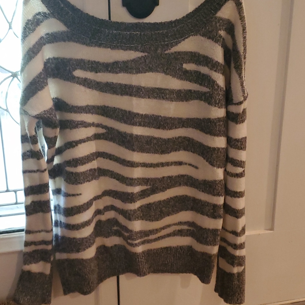Express Sweater